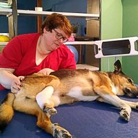 Physiotherapie Hund2