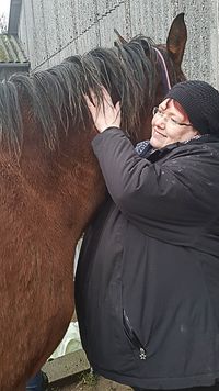 Tierphysiotherapie Schnauze, Fell & Pfoten in Ense Pferd